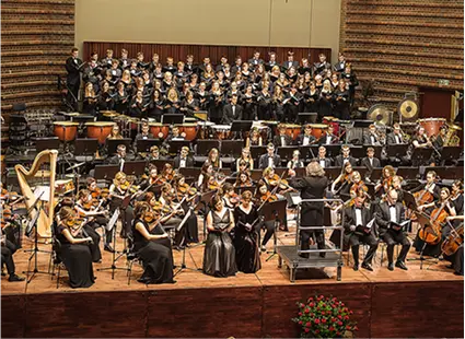 Kierunki studiów