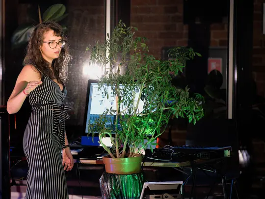 Koncert na Dziedzińcu 18.06.2021