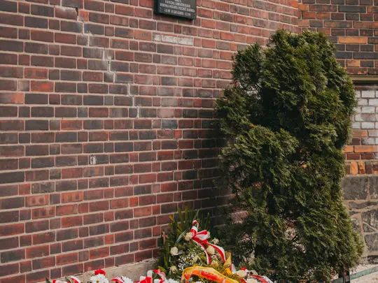 Złożenie kwiat&oacute;w pod tablicą upamiętniającą Profesor&oacute;w Krakowskich więzionych we Wrocławiu w 1939 r., ul. Sądowa