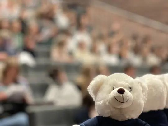 Festiwal Wyobraźni Muzycznej mYear 2025