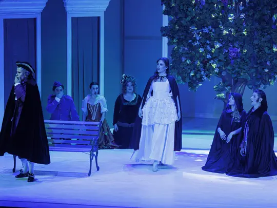 Damian Szczepański (Hrabia), Alicja Turowska (Hrabina), Magdalena J&oacute;zef&oacute;w (Zuzanna), Radosław Palczak (Figaro), Paweł Szlachta (Cherubin), Monika Brzezińska (Barbarina), Katarzyna Mandla (Marcelina)