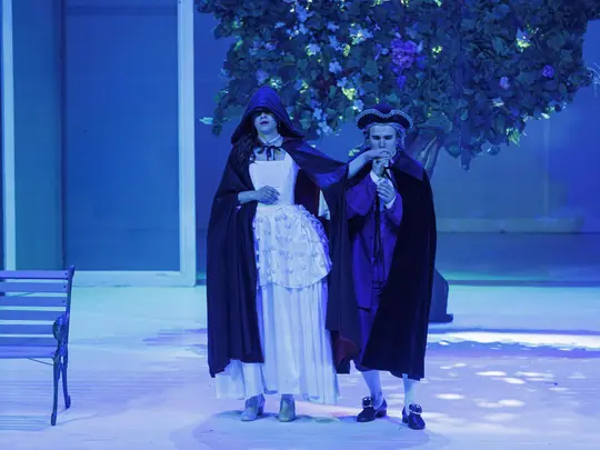 Damian Szczepański (Hrabia), Alicja Turowska (Hrabina)