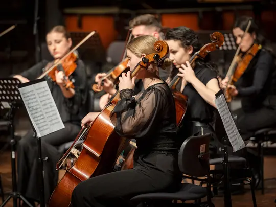 Academic Chamber Orchestra