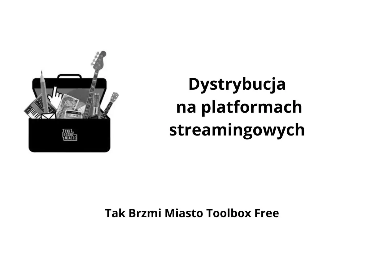 2025.02.11_Dystrybucja na platformachstramingowych.jpg