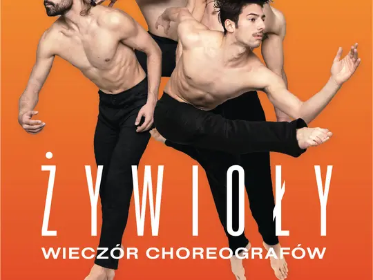 zywioly_www.jpg