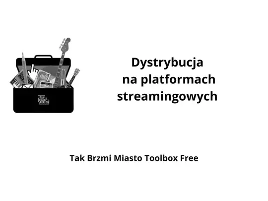 2025.02.11_Dystrybucja na platformachstramingowych.jpg