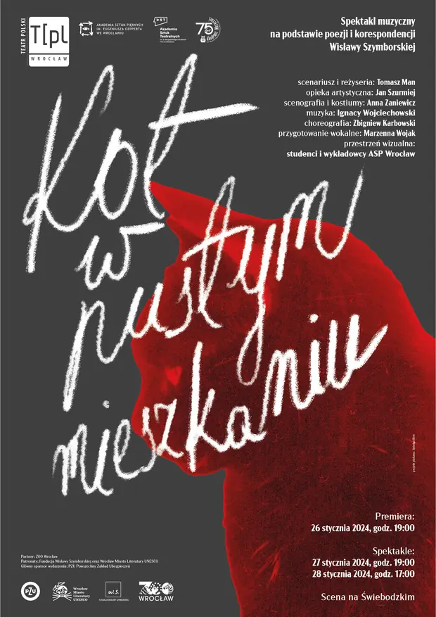 Kot w pustym mieszkaniu