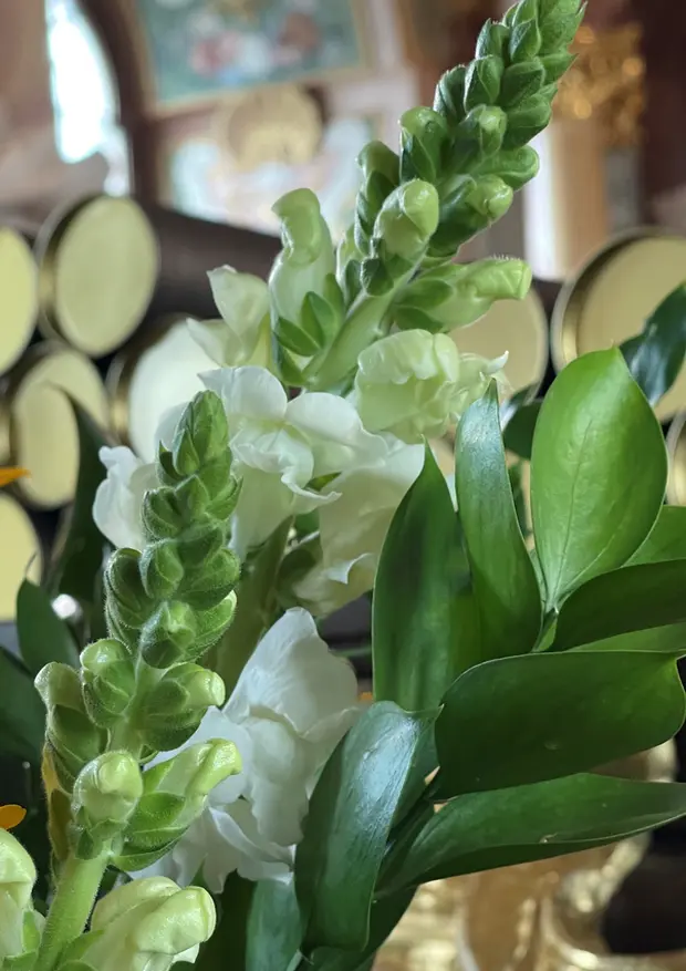 Uroczysta promocja doktor&oacute;w i doktor&oacute;w habilitowanych uczelni artystycznych Wrocławia