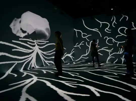 Random Check 7: Time Crystals