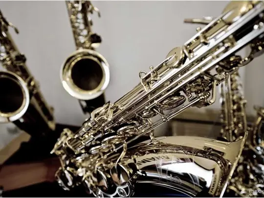 Og&oacute;lnopolski Festiwal Saksofonowy "New Art Sax" 12-13.04.2014